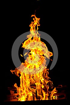 Flames lit the fire, warming his warmth in cold weather. Rules of safe breeding of fire.