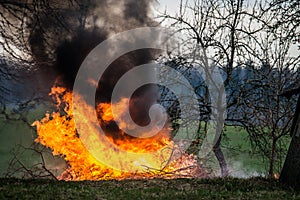 flames with smoke, burning tree waste