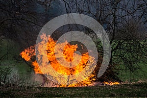 flames with smoke, burning tree waste at countryside