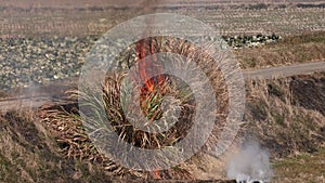 Flames and smoke rise from burning bush during controlled burn on farm