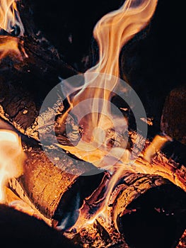 Flames and wood burning in a firepit