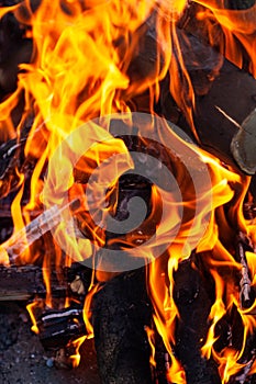 Flaming coals for the background.