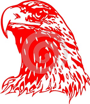 Flaming Eagle Head 2