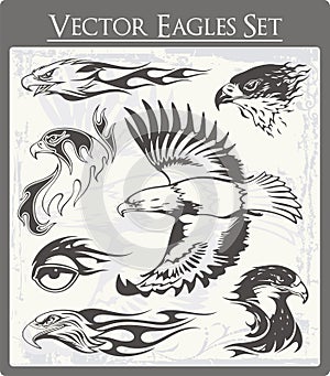 Flaming Eagle Illustrations Set