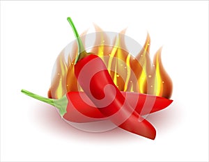 Flaming hot chili pepper image. Vector illustration