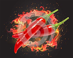 Flaming hot chili pepper image. Vector illustration