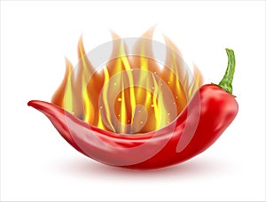 Flaming hot chili pepper image. Vector illustration