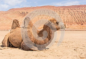 The Flaming Mountains, Turpan, Xinjiang. China