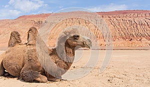 The Flaming Mountains, Turpan, Xinjiang. China