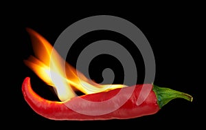 Flaming red hot chili pepper