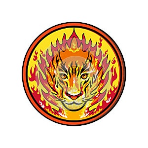 Flaming Tiger Head Icon