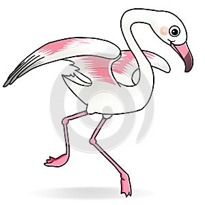 Flamingo