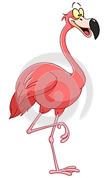 Flamingo