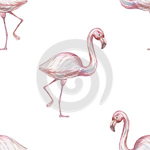 Flamingo Animals cartoon cute muzzles scandinavian style. Hand-drawn illustration of children