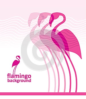 Flamingo background