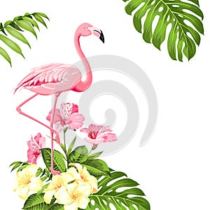 Flamingo background design. Tropical flowers illustration. Fashion summer print for wrapping, fabric, invitation card