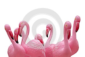 Flamingo background isolated. Close-up of a group of pink plastic flamingos with selective focus isolated on a white background.