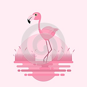Flamingo bird cartoon on the swamp flat background vector design.