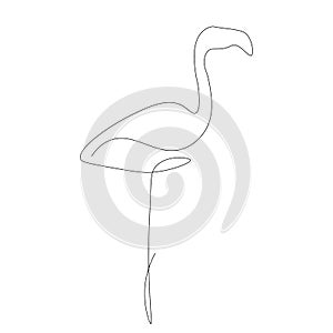 Flamingo bird design, vector illustration
