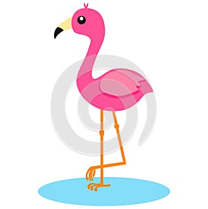 Flamingo Bird Illustration