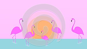 Flamingo bird illustration design on background. Minimal flat style