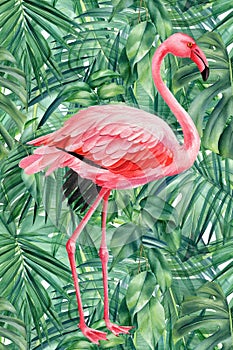 Flamingo bird and palm leaves. Watercolor illustration. Festive poster, postcard