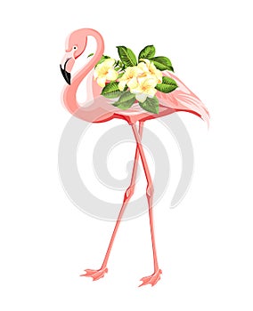 Flamingo bird and plumeria flowers isolated over white background. Tropical birds and flowers illustration. Fashion