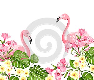 Flamingo bird and plumeria flowers isolated over white background. Tropical birds and flowers illustration. Fashion