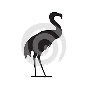 Flamingo bird silhouette. Vector wild nature illustration isolated on white background for brand logo or tattoo