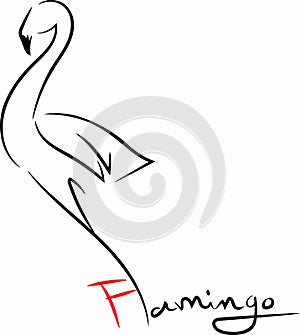 Flamingo with black strock photo