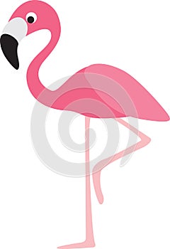 Flamingo cartoon photo