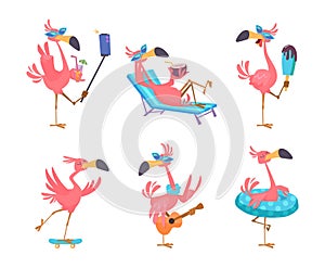 Flamingo cartoon. Cute funny exotic tropical birds in action poses exact vector flamingo