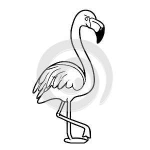 Flamingo Coloring Pages for Kids and Toddlers