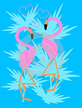 Flamingo couple