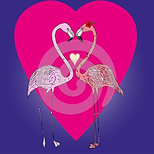 Flamingo couple in cartoon style vector illustration. Against the background of the heart and the sea, a pair of flamingos look at