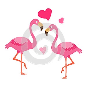 Flamingo couple.Exotic bird illustration vector.Bird couple.