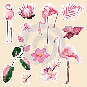 Flamingo, cute animals, tropical flowers. Set of cartoon stickers, patches, badges, pins, prints for kids.