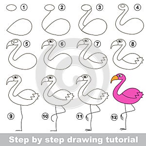 Flamingo. Drawing tutorial.