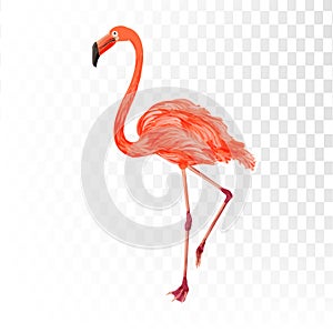 Flamingo element summer sale shopping,summer promo,holidays on the beach,web banner template background vector 3D style