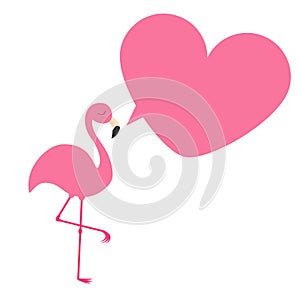 Flamingo. Exotic tropical bird. Zoo animal collection. Pink heart frame talking bubble. Cute cartoon character. Decoration element