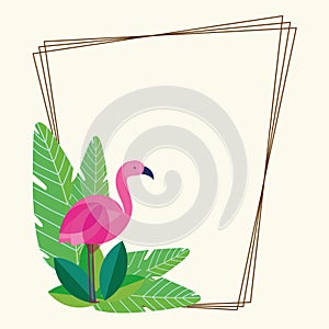 flamingo foliage frame