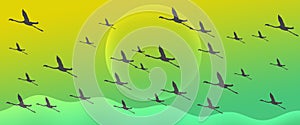 Flamingo Group Flock Silhouette Flying on Green Gradient  Header Background