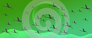 Flamingo Group Flock Silhouette Flying on Green Gradient  Header Background
