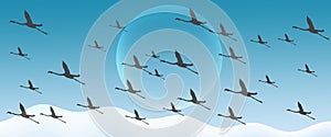 Flamingo Group Flock Silhouette Flying on Turqoise Gradient  Header Background