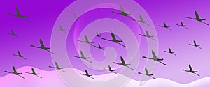 Flamingo Group Flock Silhouette Flying on Violet  Gradient  Header Background