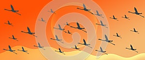 Flamingo Group Flock Silhouette Flying on Yellow Orange  Gradient  Header Background