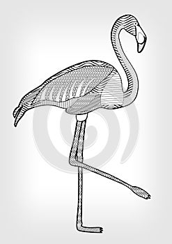 Flamingo in hatched design, bird drawing with ornament on body on grey gradient background, tattoo template