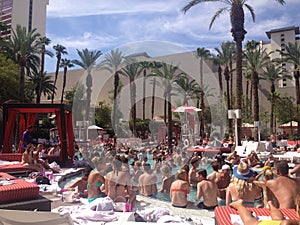 FLAMINGO HOTEL POOL