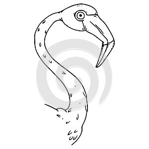 Flamingo icon. Vector of a flamingo. Flamingo hand drawn