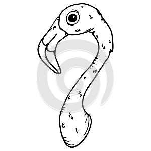 Flamingo icon. Vector illustration of a flamingo head.